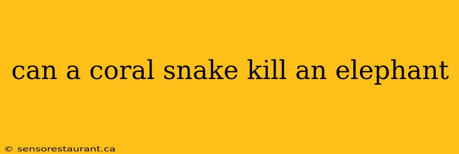 can a coral snake kill an elephant