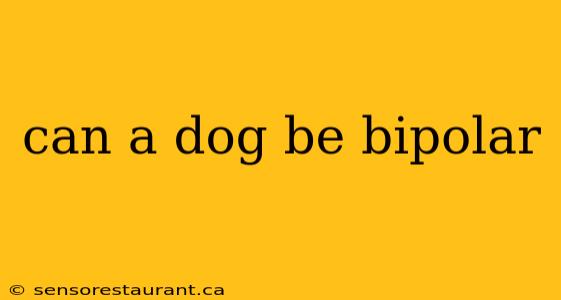 can a dog be bipolar