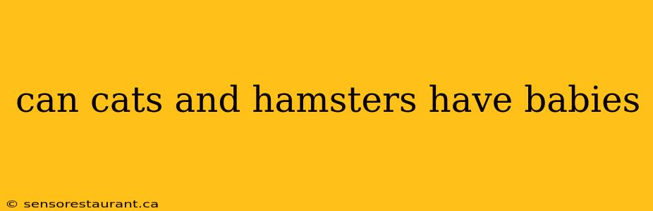 can cats and hamsters have babies