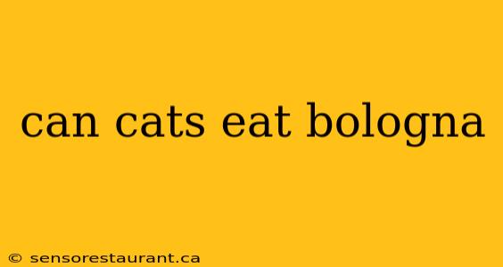 can cats eat bologna