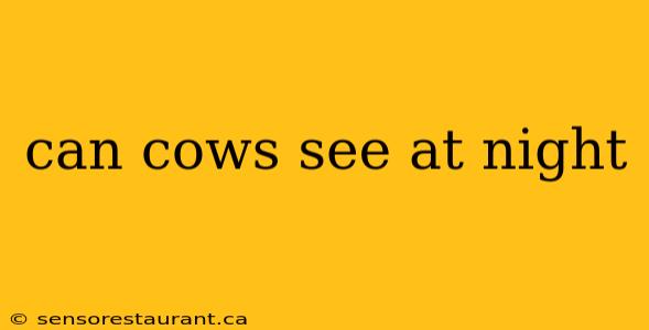 can cows see at night