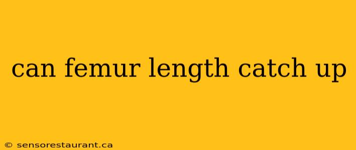 can femur length catch up