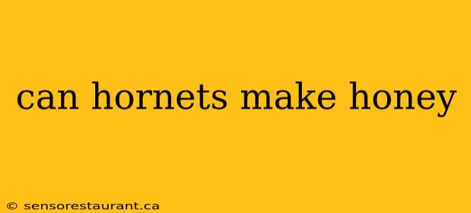 can hornets make honey