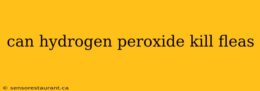 can hydrogen peroxide kill fleas