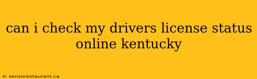 can i check my drivers license status online kentucky