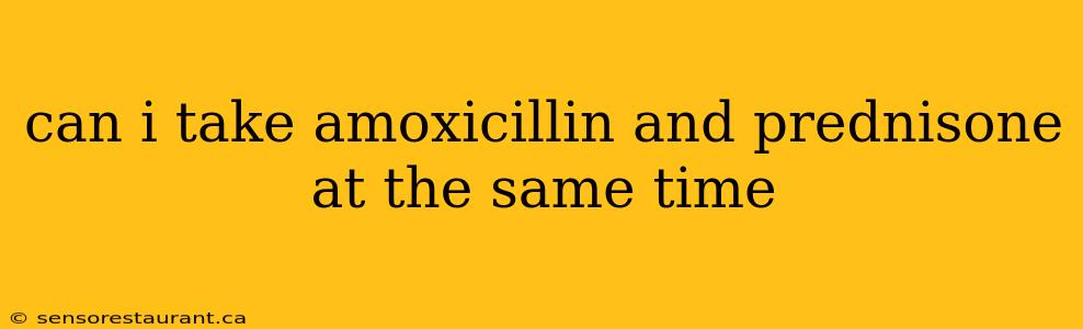 can i take amoxicillin and prednisone at the same time