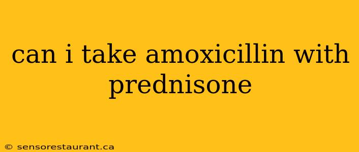 can i take amoxicillin with prednisone