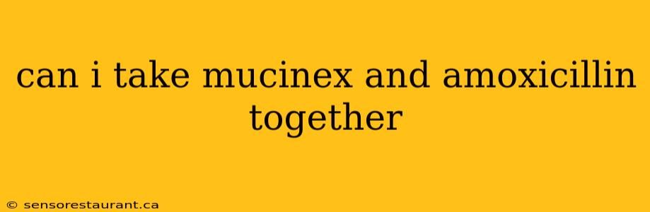 can i take mucinex and amoxicillin together