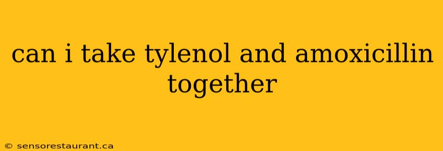 can i take tylenol and amoxicillin together