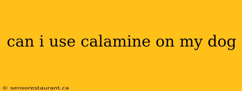 can i use calamine on my dog