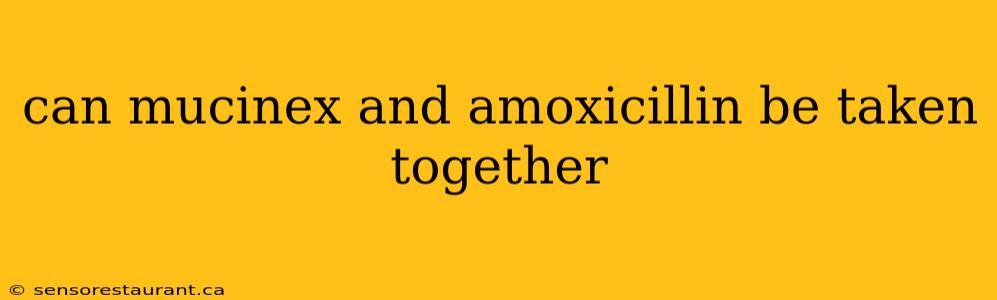 can mucinex and amoxicillin be taken together