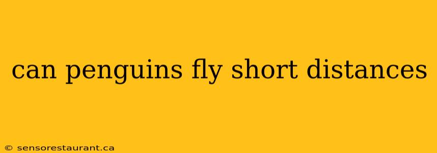 can penguins fly short distances