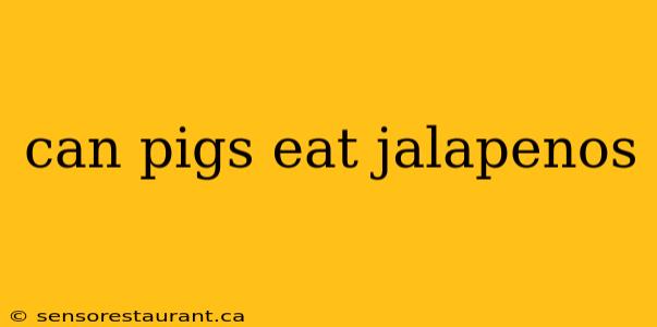 can pigs eat jalapenos