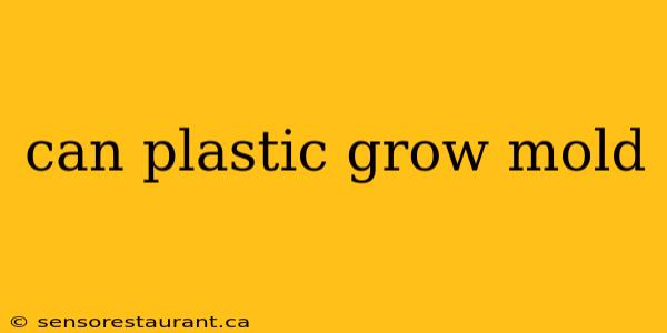 can plastic grow mold