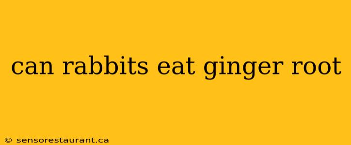 can rabbits eat ginger root