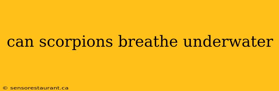 can scorpions breathe underwater