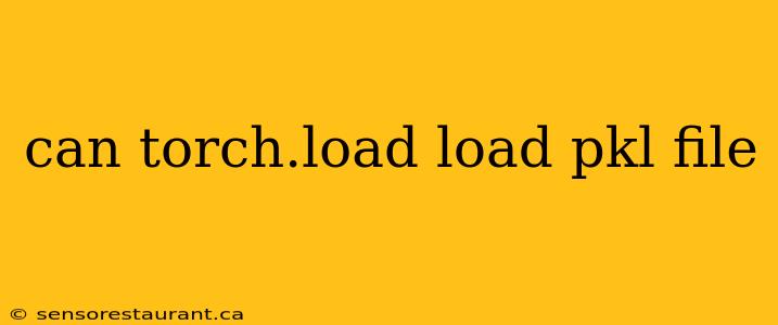 can torch.load load pkl file