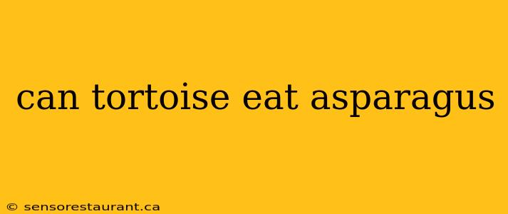 can tortoise eat asparagus