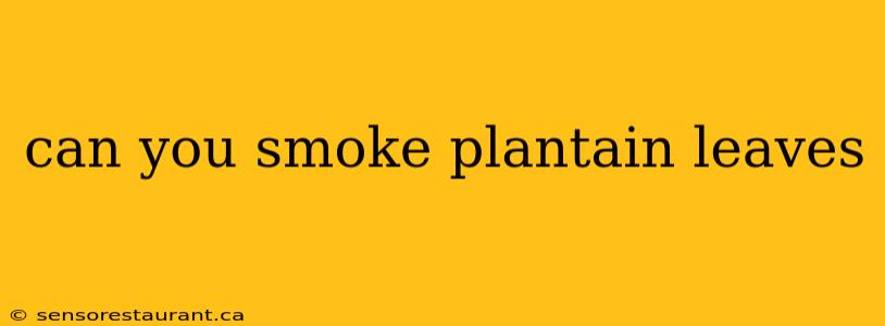 can you smoke plantain leaves