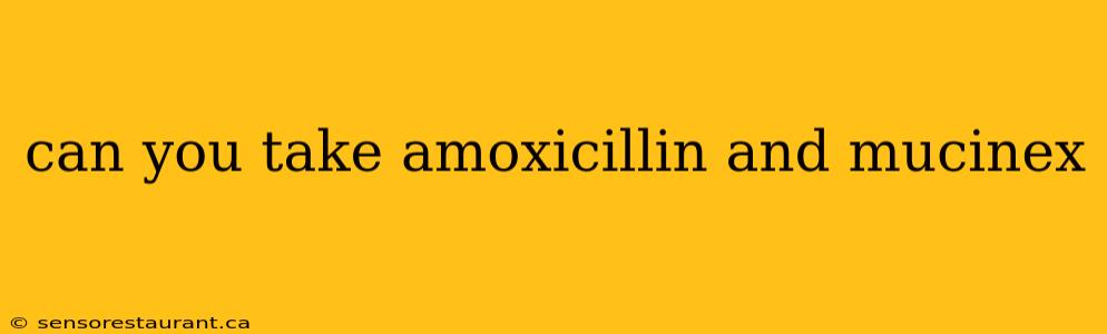 can you take amoxicillin and mucinex