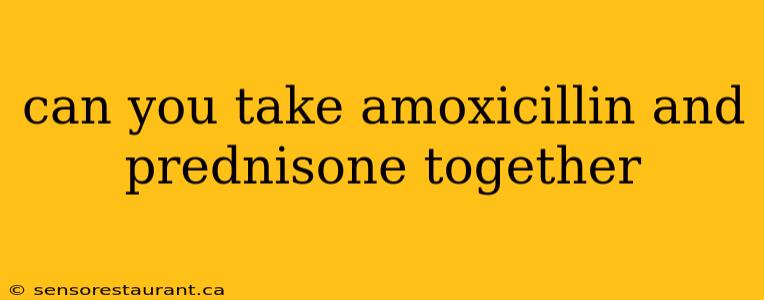 can you take amoxicillin and prednisone together