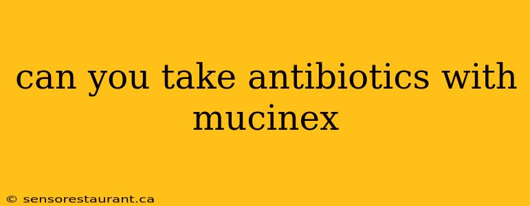 can you take antibiotics with mucinex