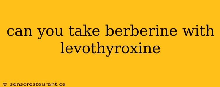 can you take berberine with levothyroxine