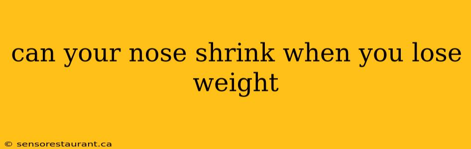 can your nose shrink when you lose weight