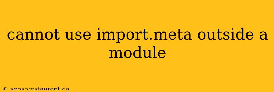 cannot use import.meta outside a module