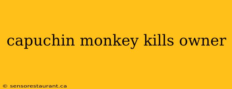 capuchin monkey kills owner