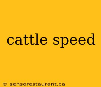 cattle speed