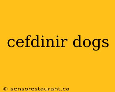 cefdinir dogs