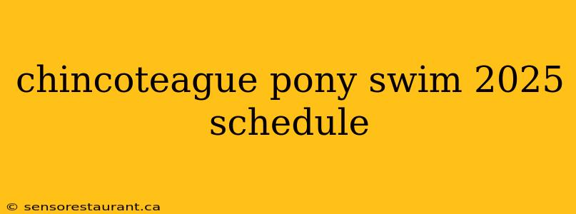 chincoteague pony swim 2025 schedule