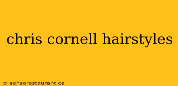 chris cornell hairstyles