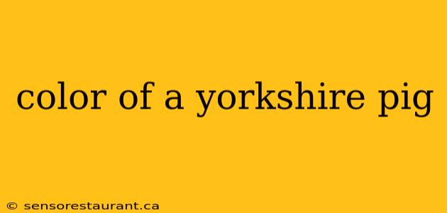 color of a yorkshire pig