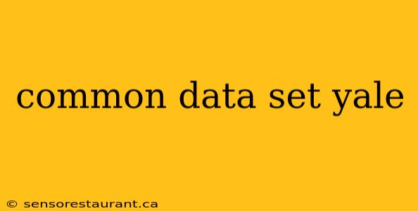 common data set yale