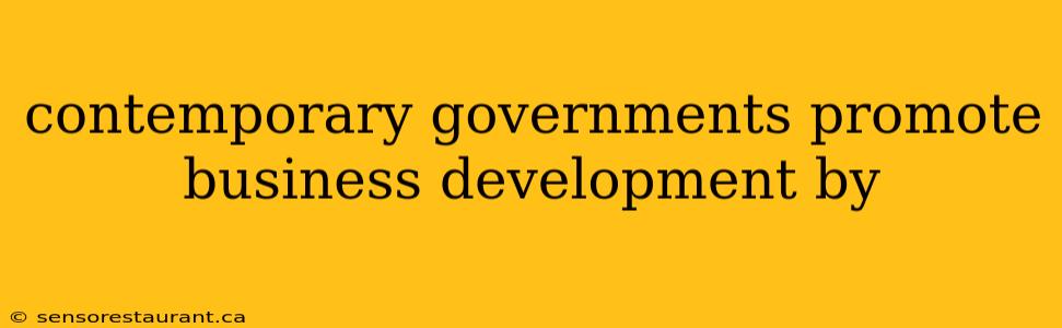 contemporary governments promote business development by