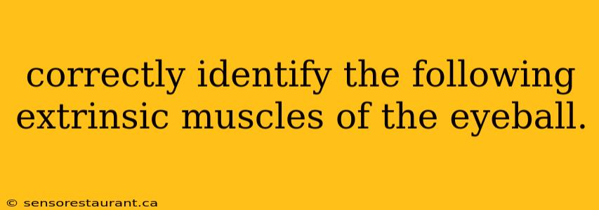 correctly identify the following extrinsic muscles of the eyeball.