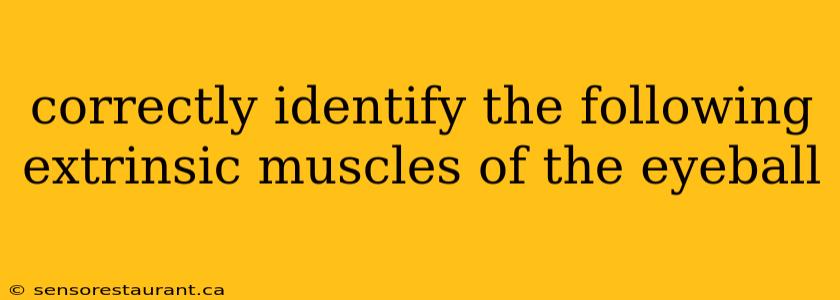 correctly identify the following extrinsic muscles of the eyeball