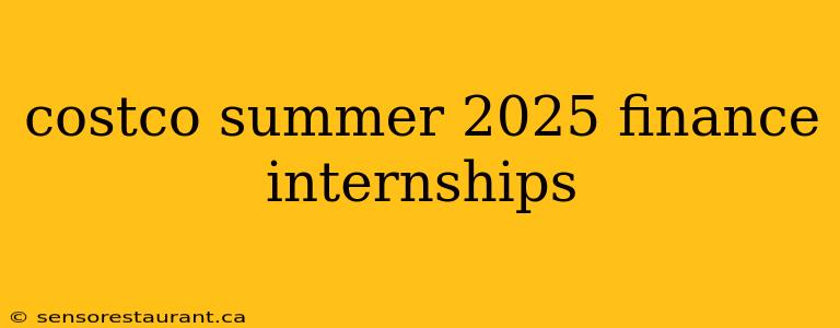 costco summer 2025 finance internships