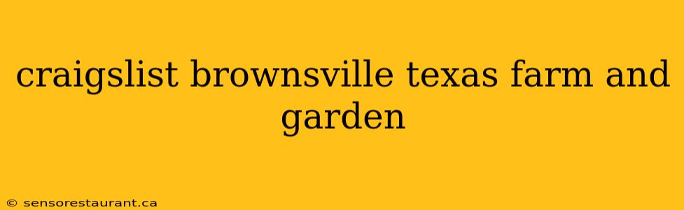 craigslist brownsville texas farm and garden