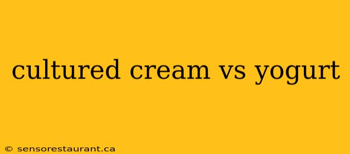 cultured cream vs yogurt