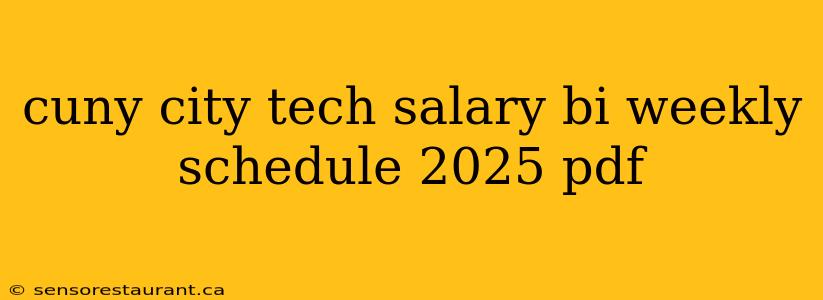 cuny city tech salary bi weekly schedule 2025 pdf