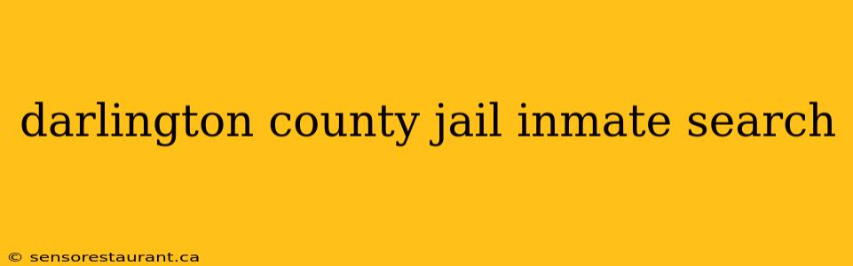 darlington county jail inmate search