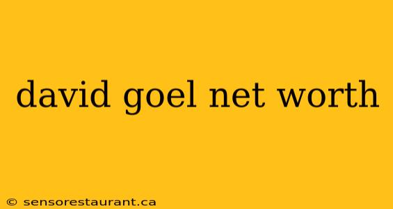 david goel net worth