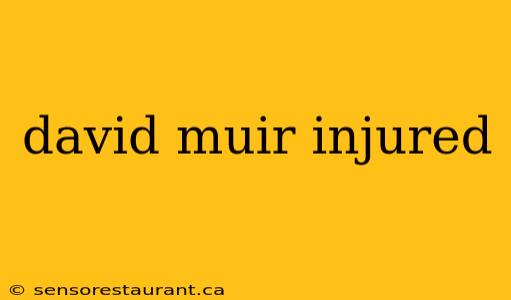 david muir injured