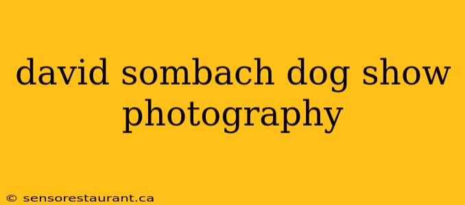 david sombach dog show photography