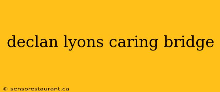 declan lyons caring bridge