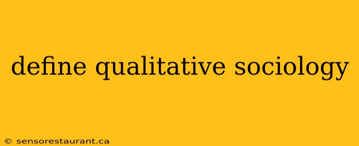 define qualitative sociology