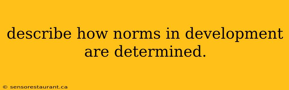 describe how norms in development are determined.